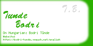 tunde bodri business card